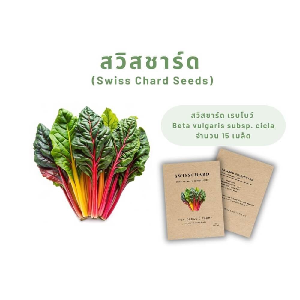 เมล็ดพันธุ์ผักสวิสชาร์ด LETPOT ไทย ออแกนิค ฟาร์ม_3